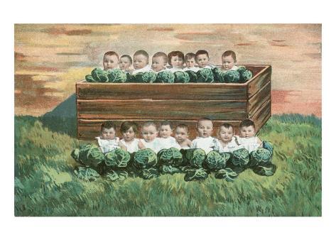 Afficher limage dorigine