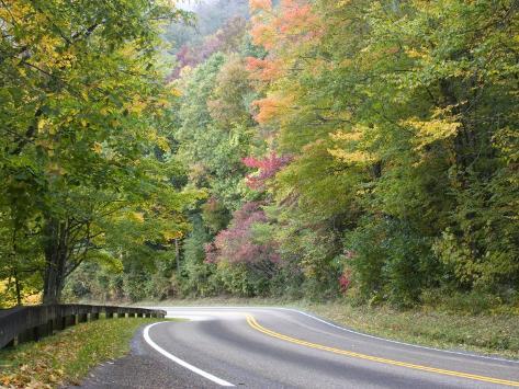 Gap Road