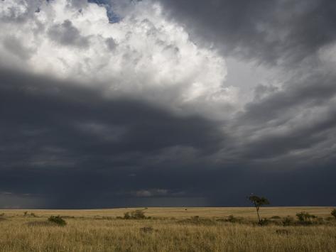 Grasslands under a Stormy Sky Photographic Print