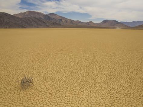 mike-theiss-tumbleweed-and-patterned-cracked-desert-floor-and-nearby-mountains.jpg