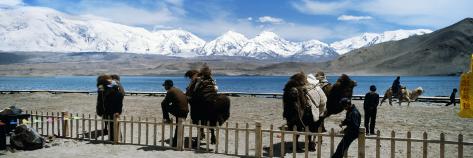 Camel Handlers Waiting for Tourists, Muztagh Ata, Karakul Lake, Xinjiang Province, China Photographic Print