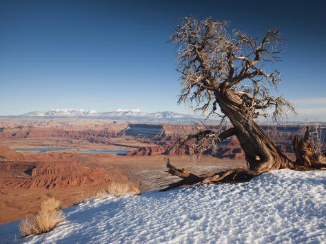 Moab Winter