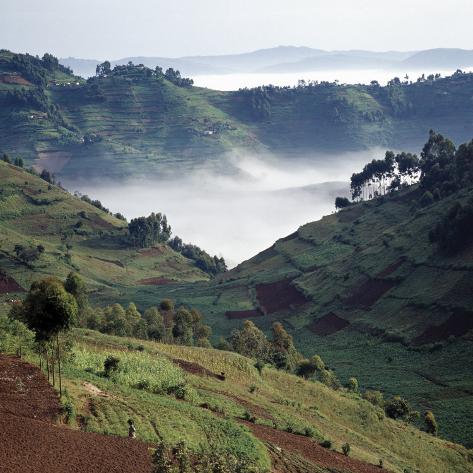 nigel-pavitt-mist-hugs-the-bottom-of-valley-in-early-morning-in-beautiful-hill-country-of-southwest-uganda.jpg