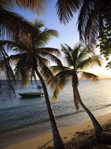 Esperanza Puerto Rico