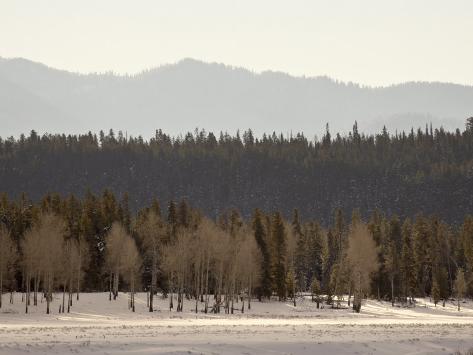  - james-hager-stacked-forest-layers-with-snow-grand-teton-national-park-wyoming