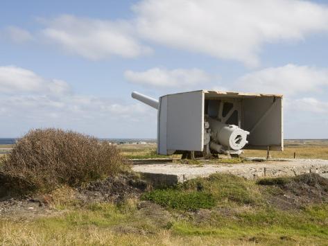 German+world+war+2+guns+for+sale