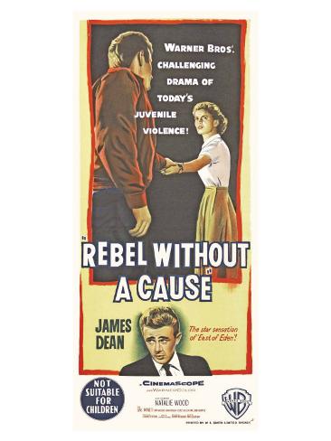 Rebel Without A Cause Essay