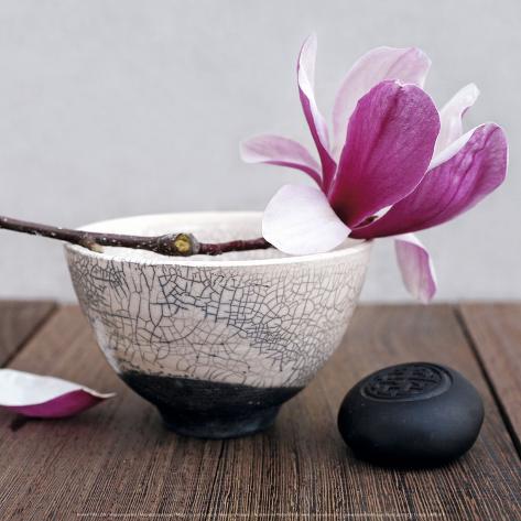 Magnolia and Bowl Art Print