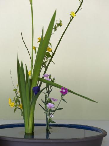 Japanese Flower Arranging (Ikebana) also Called the Way of Flowers (Kado), Japan