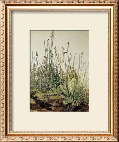 albrecht durer grass