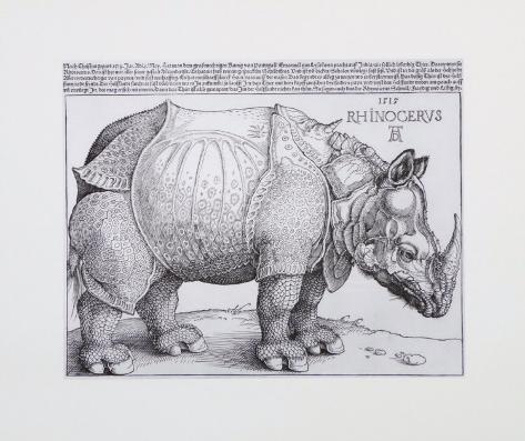 Albrecht Durer Rhinoceros