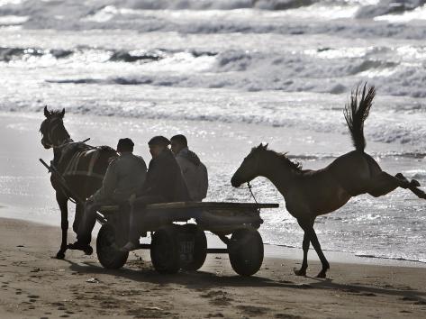 Horse Jumps Up as it Follows a Donkey Cart with Palestinians Returning from the Market in Gaza City Photographic Print