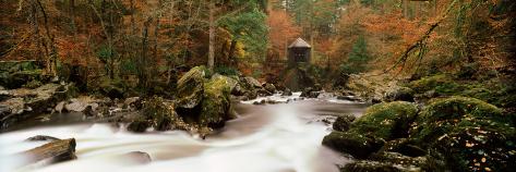 River Flowing Through a Forest, the Hermitage, Dunkeld, Perth and Kinross, Scotland Photographic Print