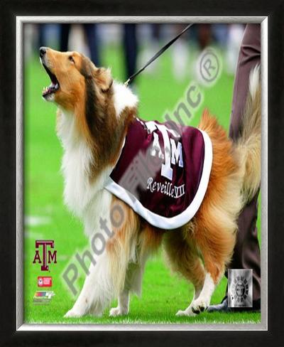 aggie mascot