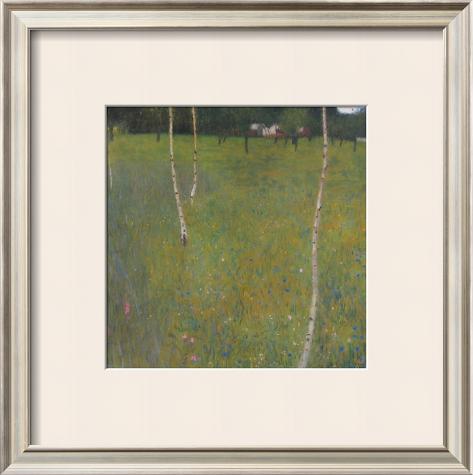 Klimt Birch Trees