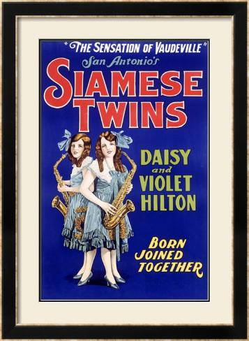 Anime Siamese Twins