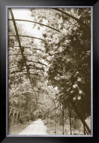 Botanical Garden Madrid