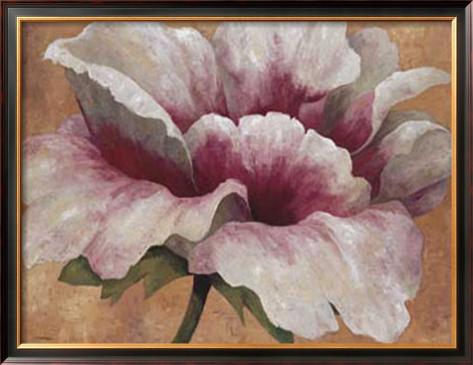 - maria-torrontegui-pink-begonia
