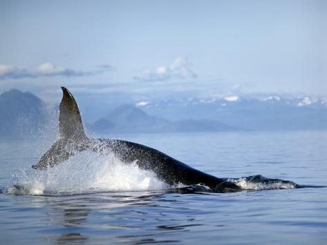 Frederick Sound Alaska