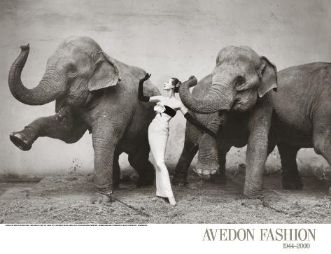 richard-avedon-dovima-with-elephants-c-1