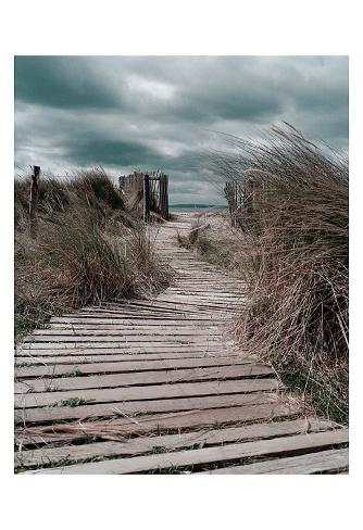 Listen to Your Dreams Art Print