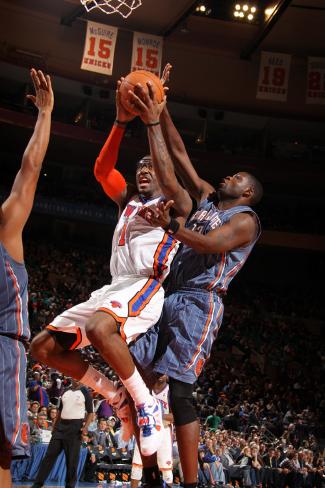 bobcats