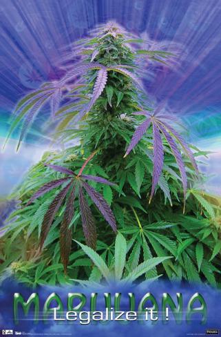 Marijuana - Legalize It Poster