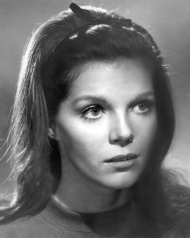 <b>Samantha Eggar</b> Photo - samantha-eggar