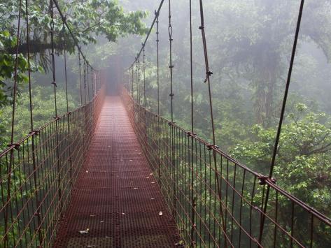 external image christer-fredriksson-cost-rica-monteverde-eco-tourism-canopy-walkway-in-cloudfores.jpg