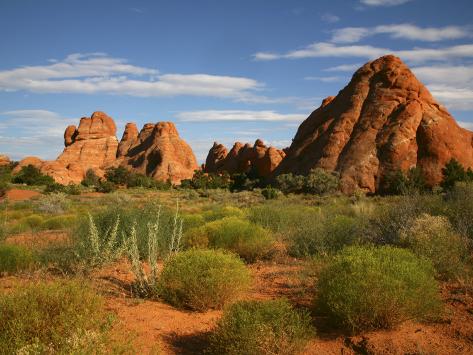 Desert Rock Formations