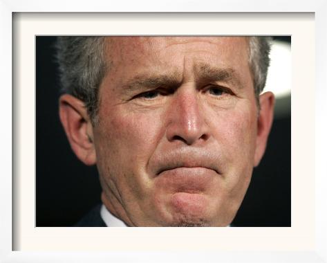 President Bush Listens to a Question About His Declassifying an Intelligence Report Framed Photographic Print