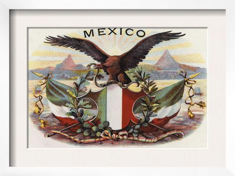 Mexican Flag Art