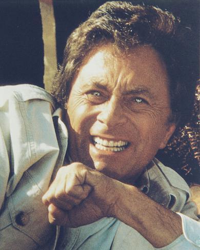 HULK BILL BIXBY hulk bill bixby: