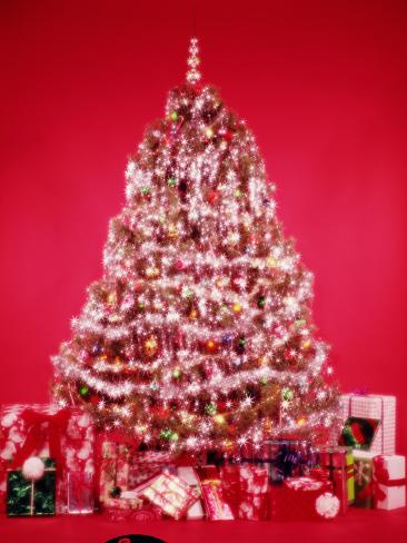 christmas tree photographic print by h armstrong roberts christmas tree photographic print by h armstrong roberts