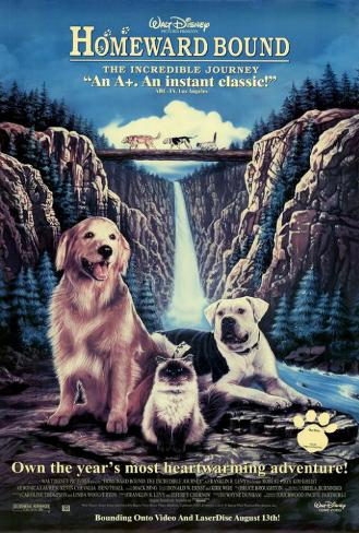 Homeward Bound The Incredible