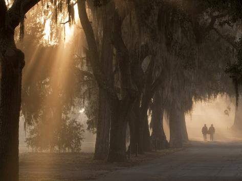 joanne-wells-boys-walking-in-early-morni