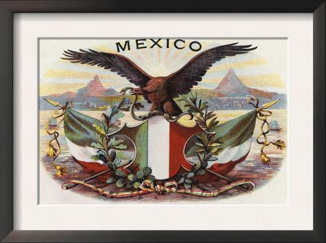mexican flag art