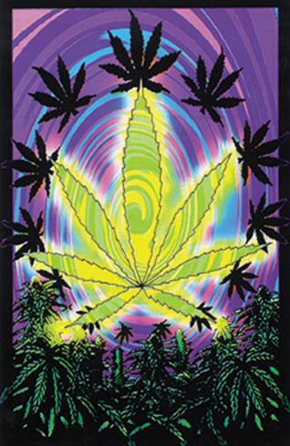 Bud Sublime Blacklight Poster
