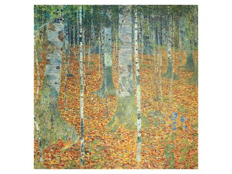 Klimt Birch
