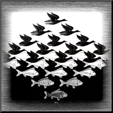 m-c-escher-ciel-et-eau.jpg