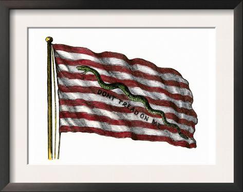 Rattlesnake Flag