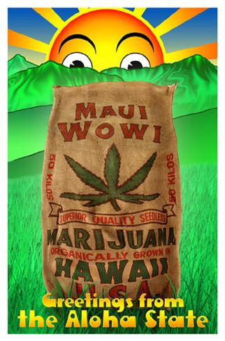 Maui Wowi Masterprint