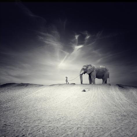 Walk with Me Photographic Print