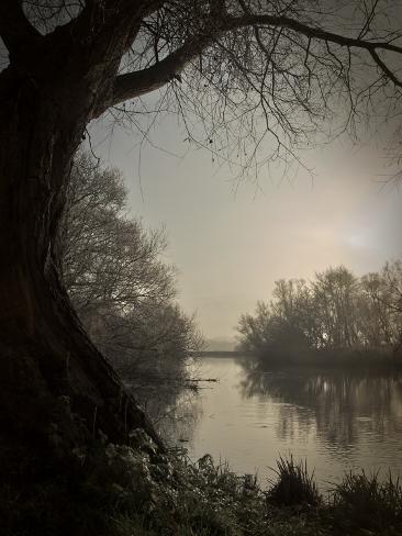 Thoughtbird Photographic Print