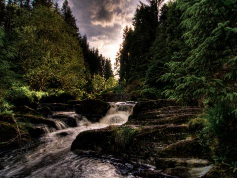 clive-nolan-waterfall-river-severn-hafren-forest-wales.jpg