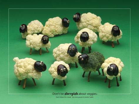 shep food sheep foodscapes posters at allposters shep food sheep foodscapes posters at allposters