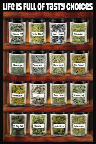 Life Is Full of Tasty Choices Poster