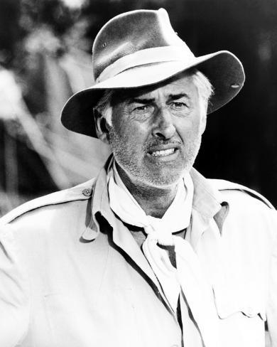 Stewart Granger The Last Safari Photo Don't see what you like