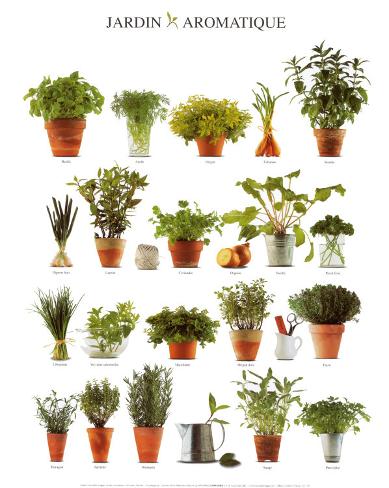 garden prints