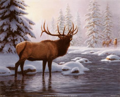 Elk Art